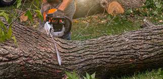 Best Lawn Drainage Solutions  in Selma, CA